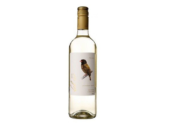 Вино Sauvignon Blanc Vina Carta Vieja Aves del Sur Сухе Біле 0,75л Чилі  1шт  (2264)